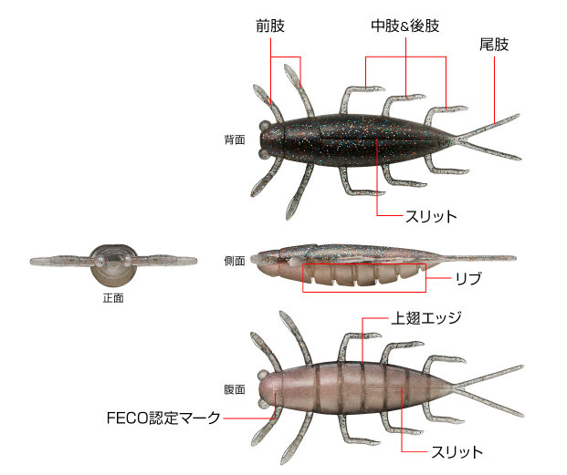 ワームのアップ写真