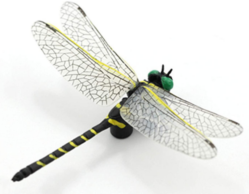 オニヤンマの模型