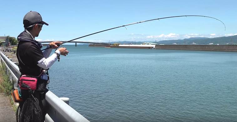 チヌの釣り方ってどうすればいいの 楽しくルアーでアプローチしてみよう