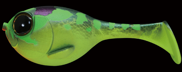 ルアーのアップ写真