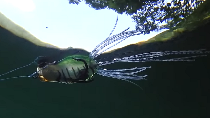 ルアーのアップ写真