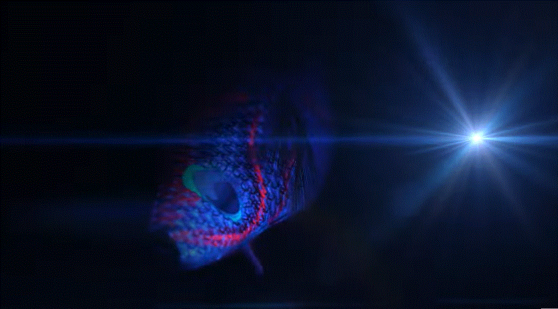 新商品の一部分。