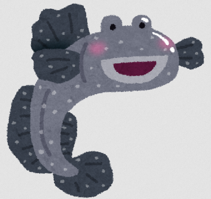 魚のアップ写真