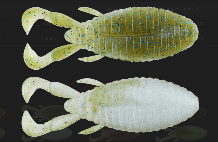 ワームのアップ写真