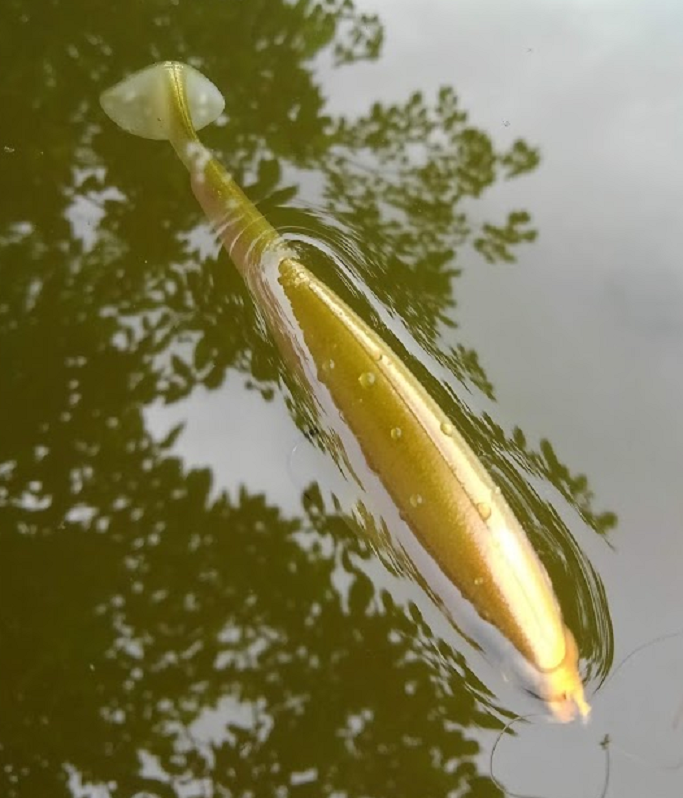 ルアーのアップ写真