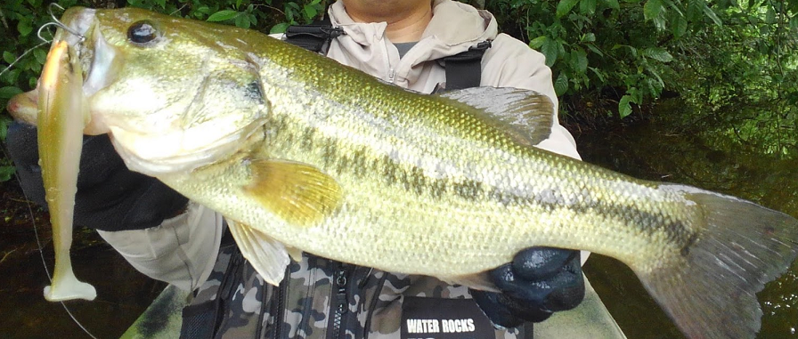 バスとルアーのアップ写真