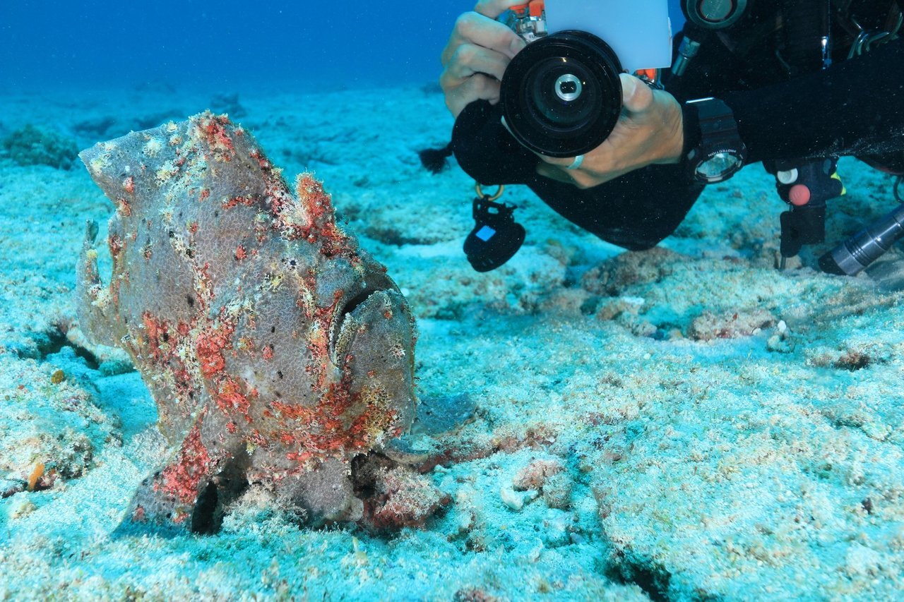 水中カメラの写真