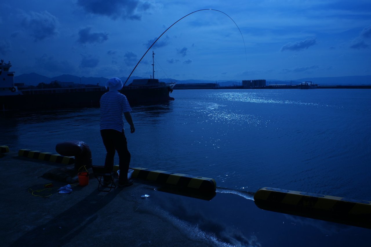夜釣りの写真