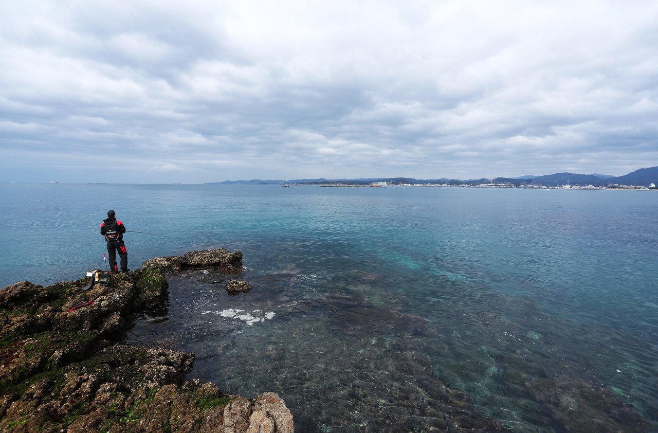 田辺湾の写真