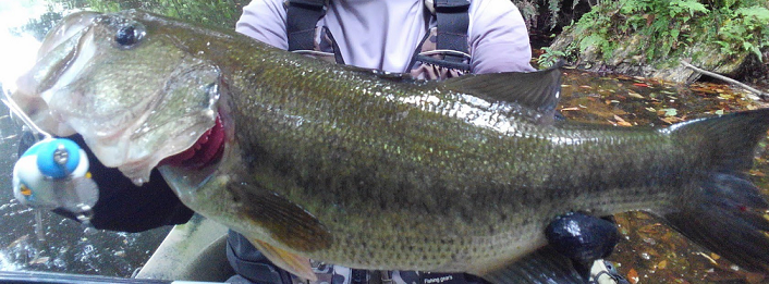 ルアーと魚のアップ写真