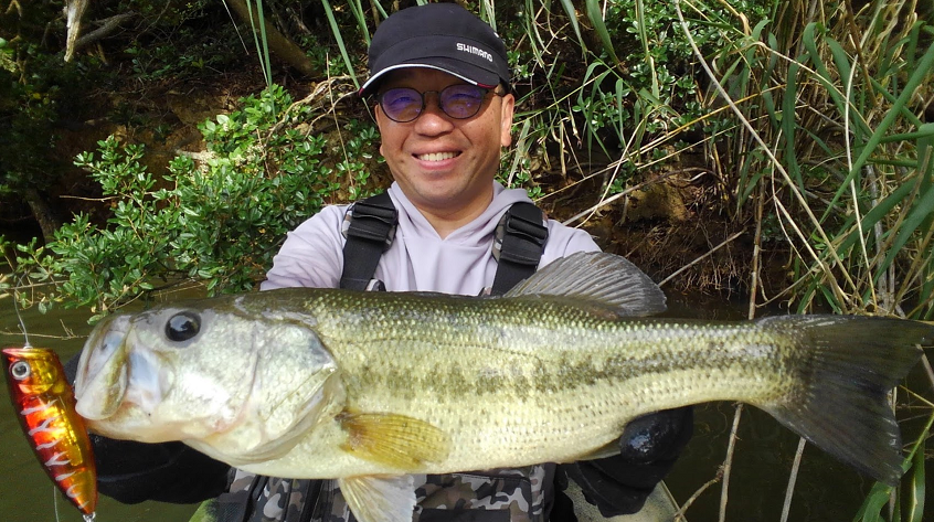 ルアーと魚のアップ写真