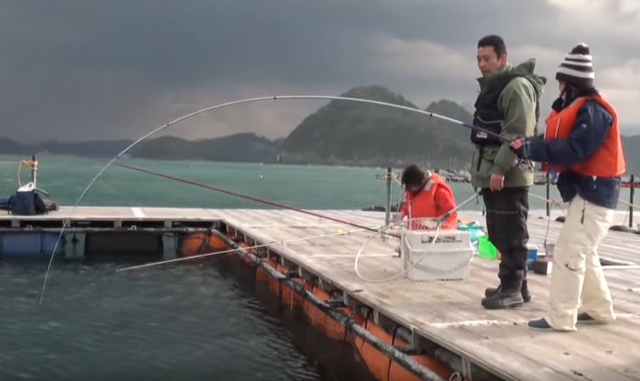 海上釣り堀 紀州で大型青物を釣りたい 釣れる魚やアクセス方法をチェック