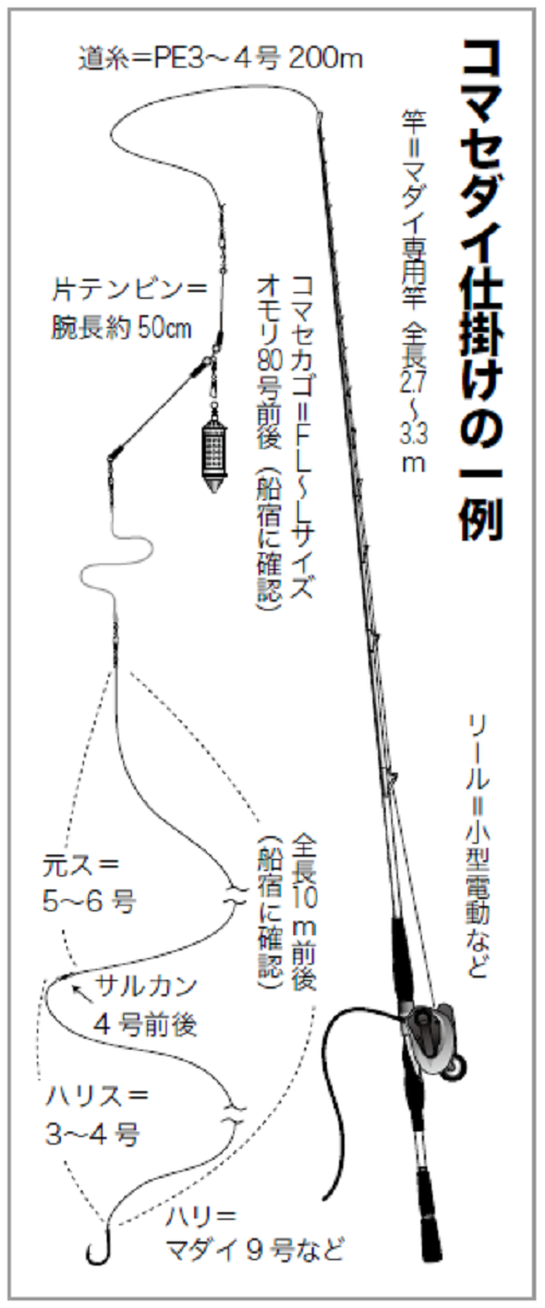 夏のマダイ釣りステップアップ講座 コマセダイ 一つテンヤ タイラバ