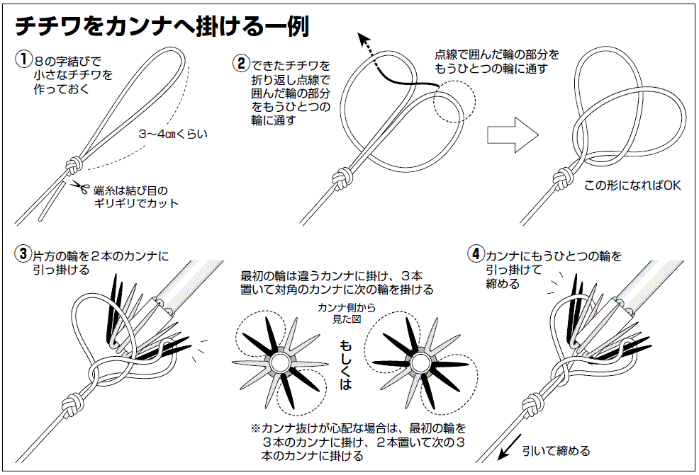 本領発揮の夏イカシーズン 直結仕掛けで乗せまくろう 釣りまとめアンテナ