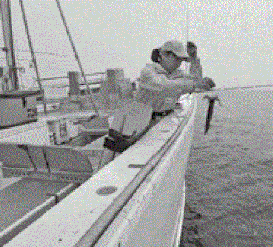 取り込みの基本動作