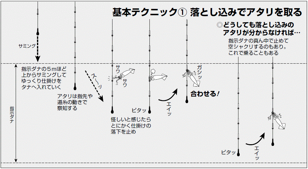 本領発揮の夏イカシーズン 直結仕掛けで乗せまくろう
