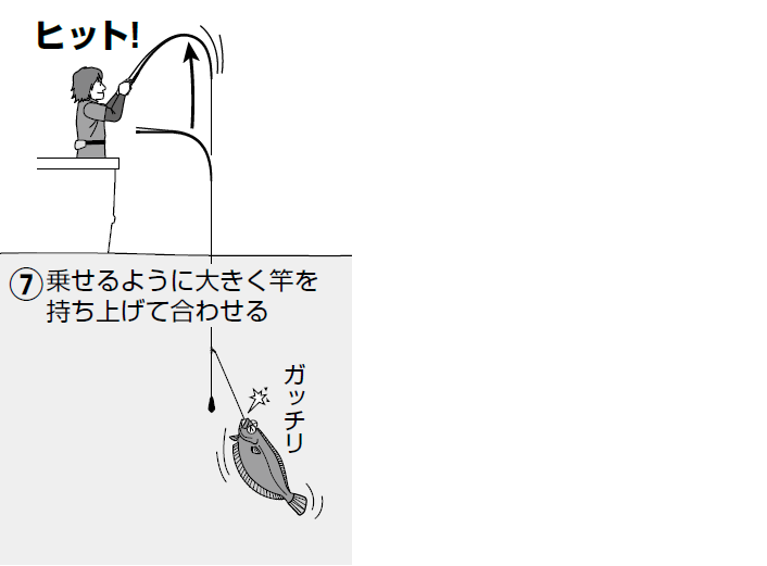 鈴木新太郎流 夏ビラメライト必釣の書 釣りまとめアンテナ