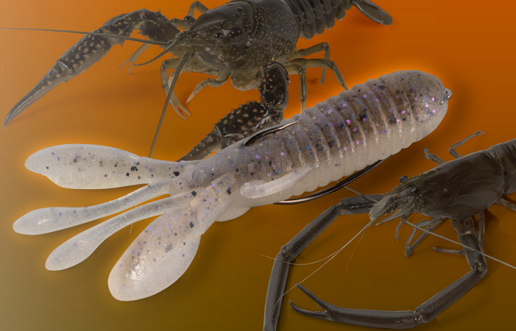 ワームのアップ写真