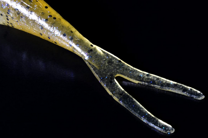 ワームのアップ写真