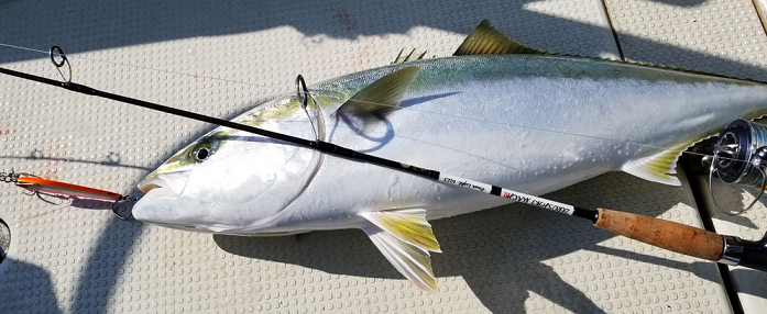 魚とロッドのアップ写真