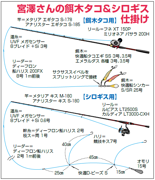 宮澤さんの餌木タコ&シロギス仕掛け