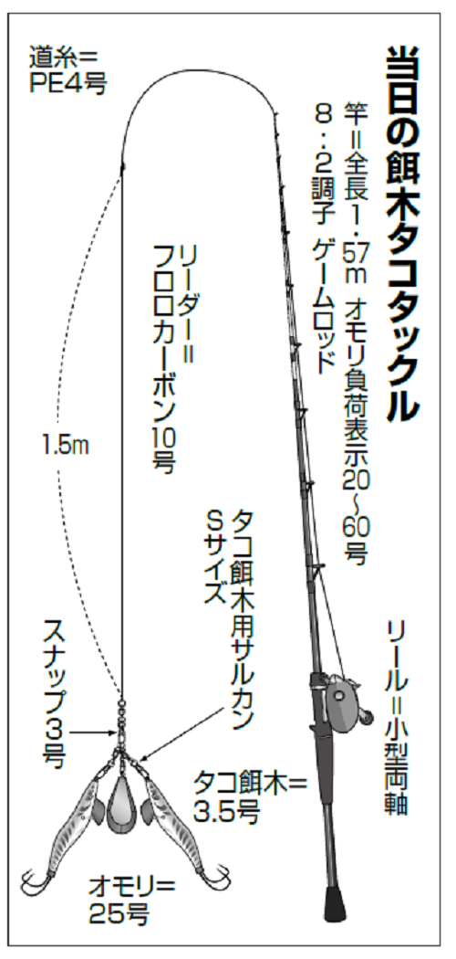 当日の餌木タコタックルの図