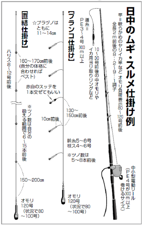 日中のムギ・スルメ仕掛けの図