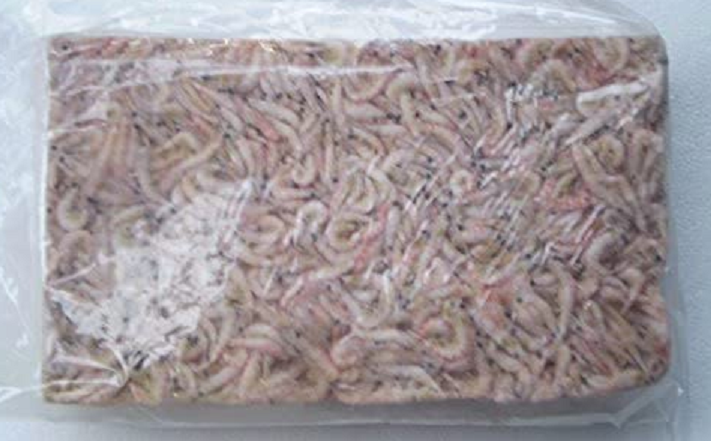 餌のアップ写真