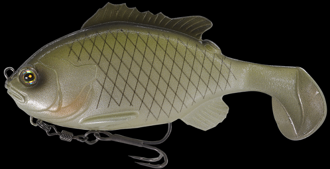 ルアーのアップ写真