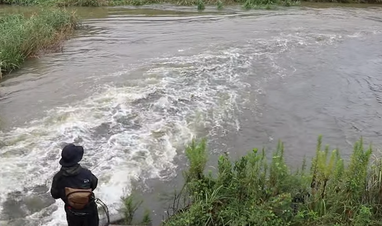 釣り場の遠景写真