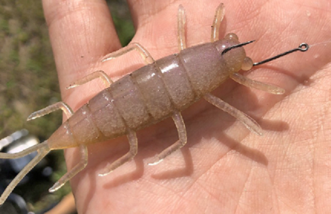 ワームのアップ写真