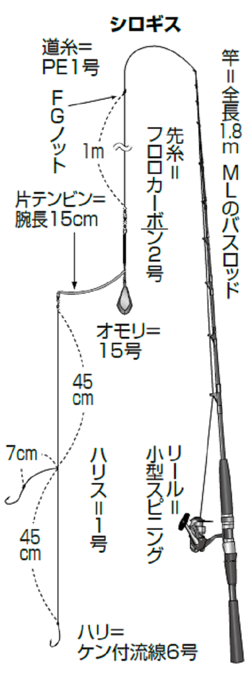当日のシロギスのタックルの図