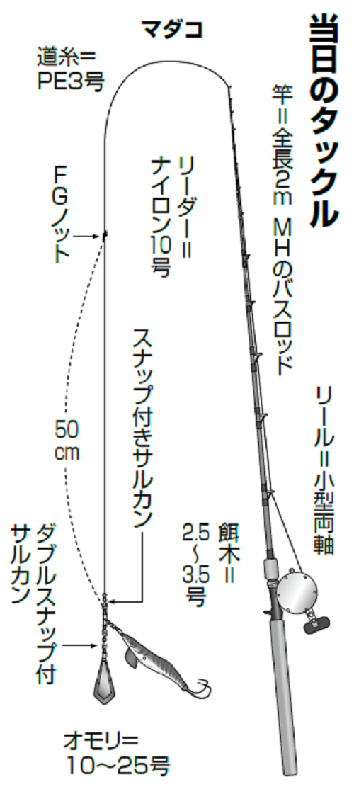 当日のマダコのタックルの図