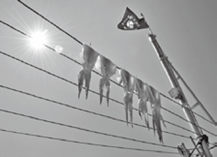 船上干しの写真