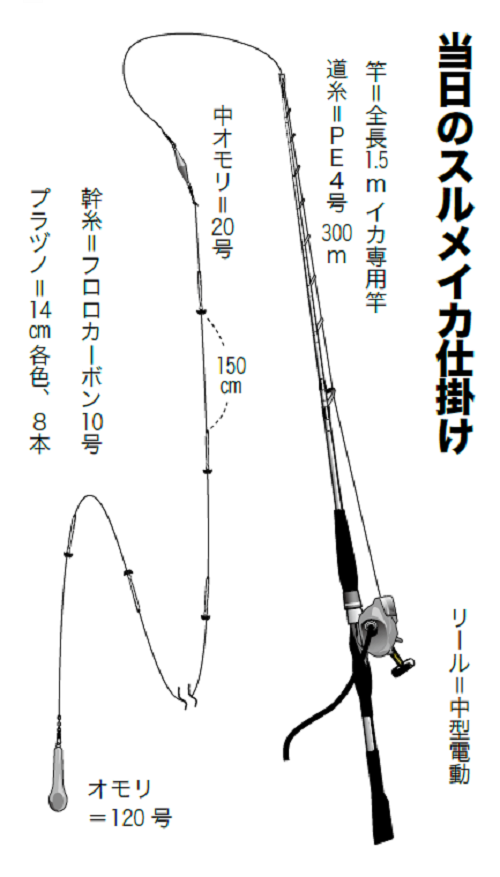 当日のスルメイカ仕掛けの図