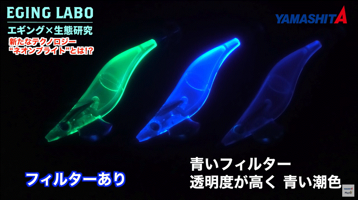 フィルター実験の写真