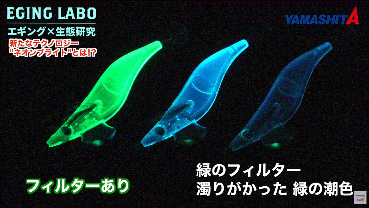 フィルター実験の写真