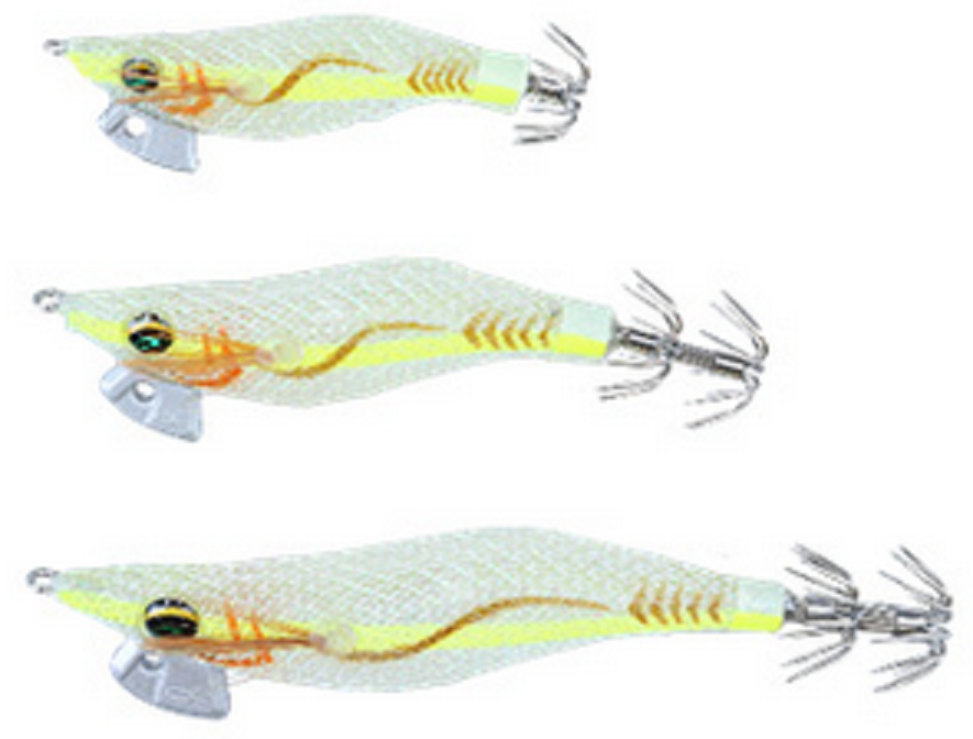 エギのアップ写真