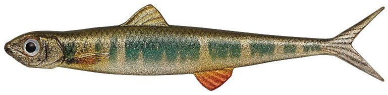 ルアーのアップ写真