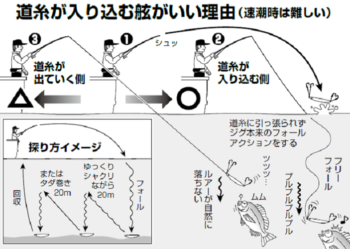 マダイ釣りのテクニックの解説図