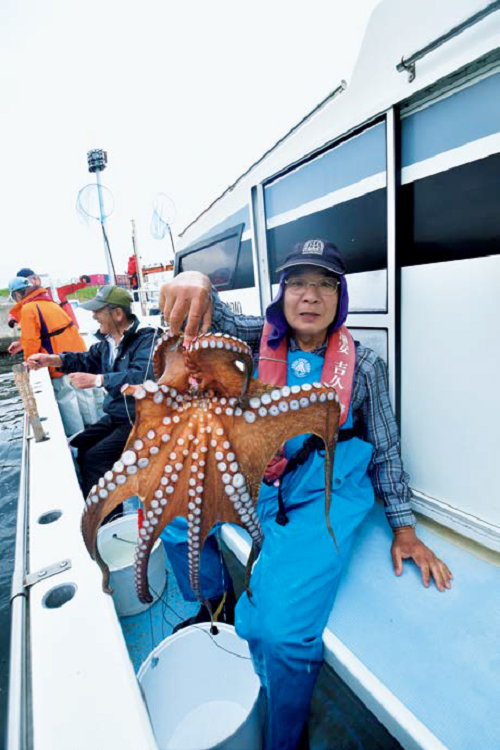 マダコの夏がやってきた 東京湾奥は今年も期待大