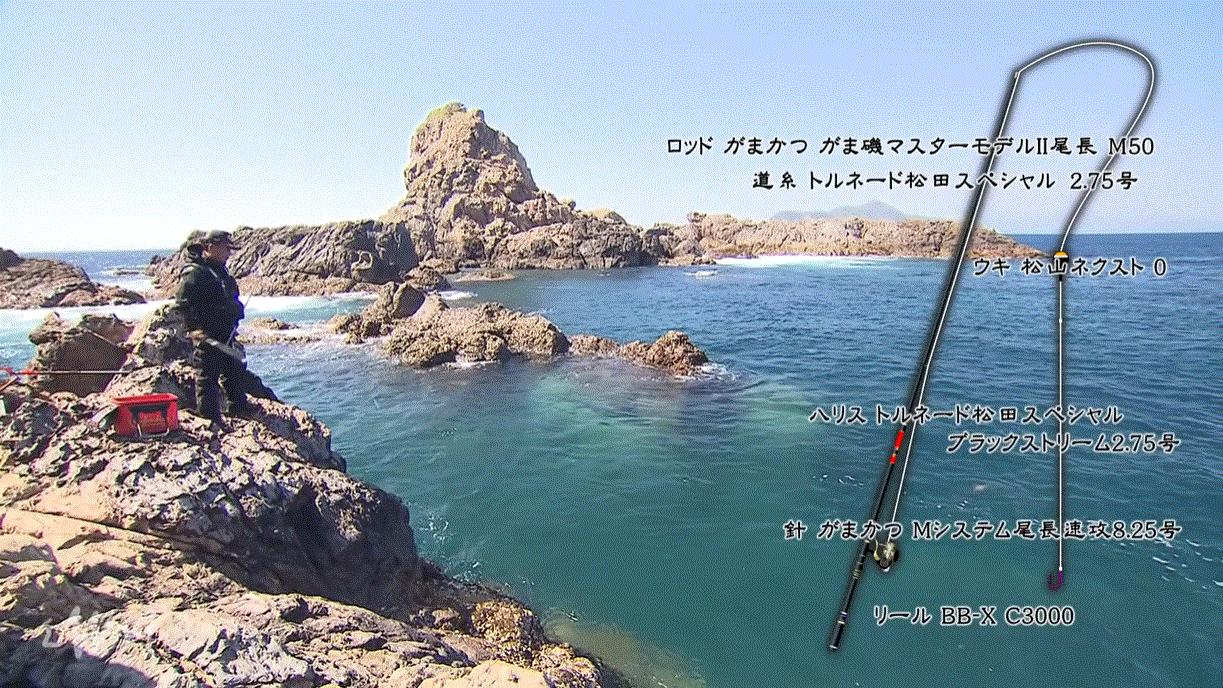 タックルの写真