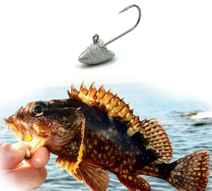 ジグヘッドのアップ写真