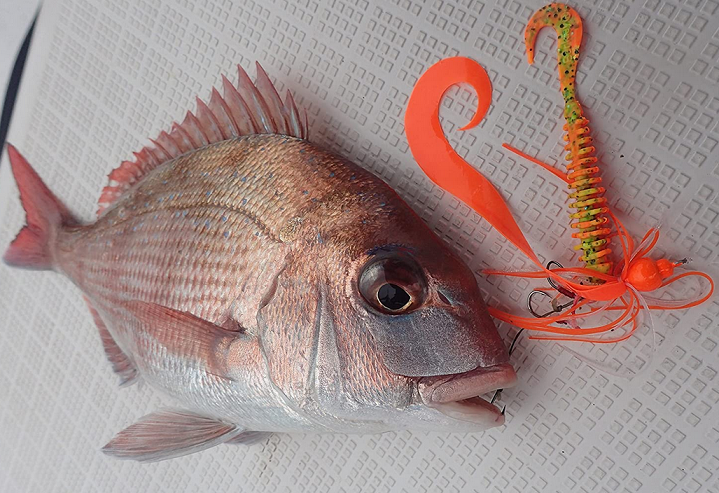 魚とタイラバのアップ写真