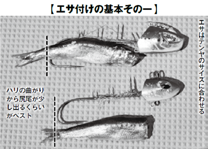 一から始めるテンタチ入門 東京湾にいよいよ来襲 テンタチ快進撃 前編