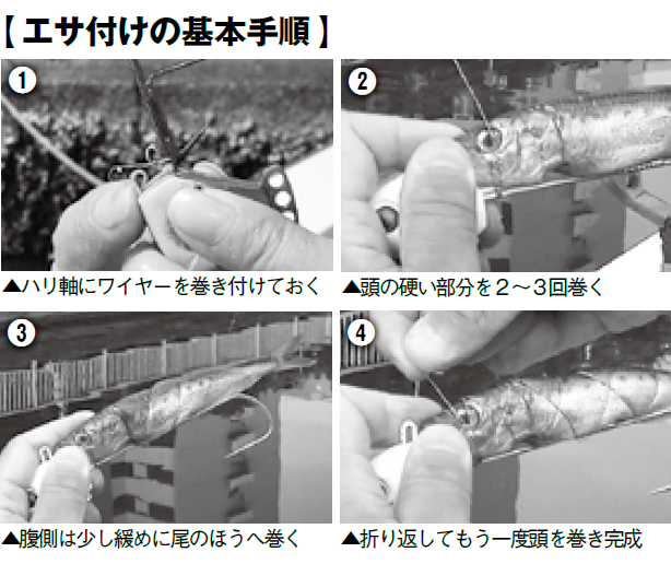 エサ付けの基本手順の写真
