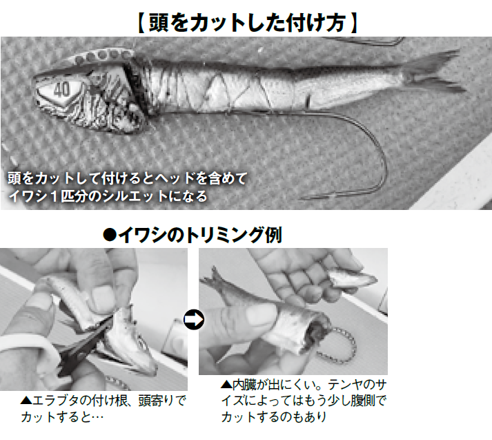 頭をカットした付け方の写真