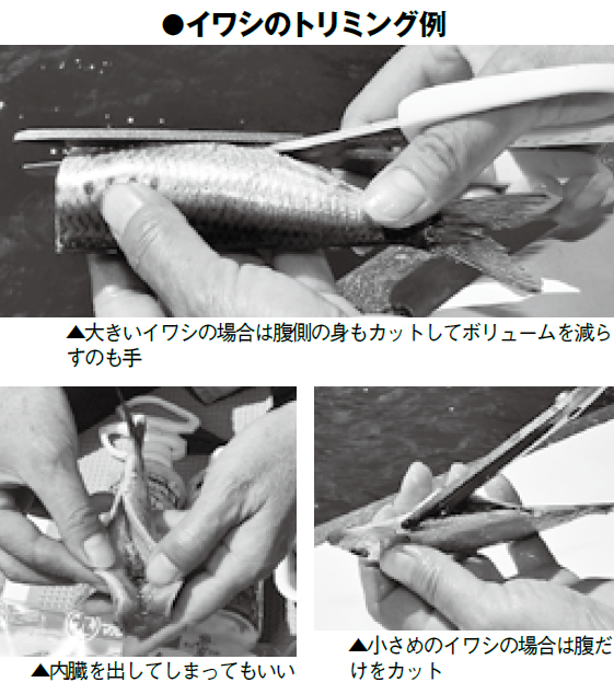 一から始めるテンタチ入門 東京湾にいよいよ来襲 テンタチ快進撃 前編