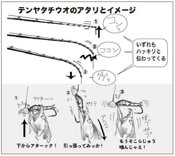 アタリの出方の図