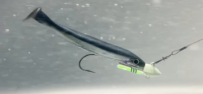 ワームとジグヘッドのアップ写真